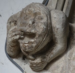 ashwell_st_mary160114_47