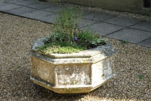 stapleford_st_mary080916_