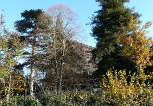 garston_all_saints191113_2