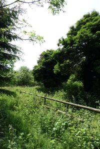 marlin_chapel060614_1