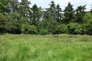 marlin_chapel060614_10