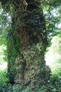 marlin_chapel060614_4