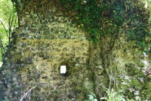 ???????????????????????????????