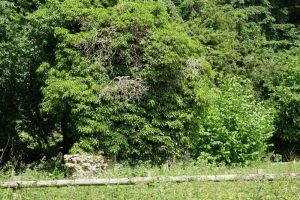 marlin_chapel060614_8