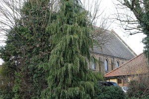 bushey_baptist151214_