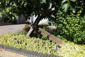 letcvhworth_elim051016_2