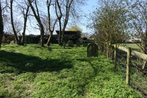 redhill_burial_ground140415_1