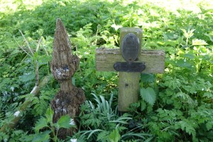 redhill_burial_ground140415_10