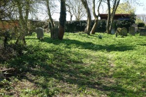redhill_burial_ground140415_14