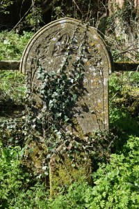 redhill_burial_ground140415_3