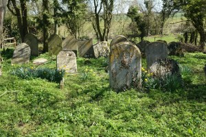 redhill_burial_ground140415_4
