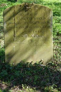 redhill_burial_ground140415_6