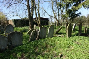 redhill_burial_ground140415_9