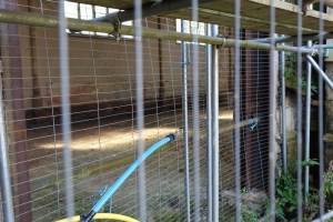 bushey_royal_masonic_school_former50916_10