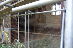 bushey_royal_masonic_school_former50916_13