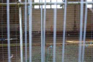 bushey_royal_masonic_school_former50916_9