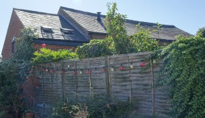 potten_end_baptist_former080916_1