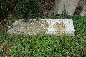 walkern_burial_ground_strict_baptist031116_4